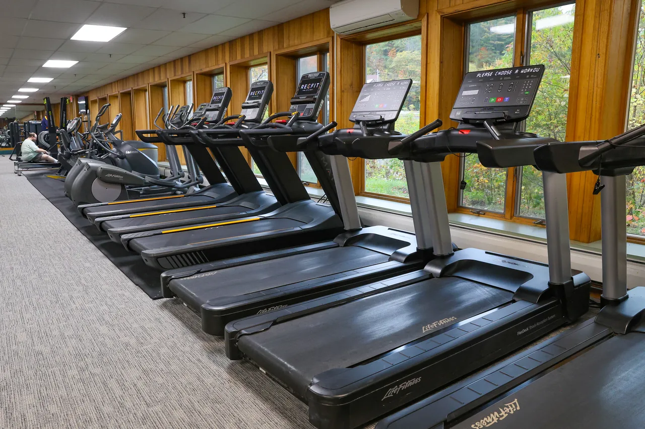 A row of treadmills by the windows, RECFIT on their screens