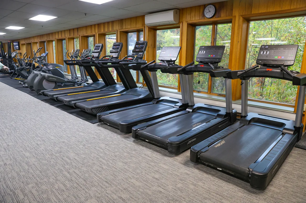 Treadmills in a row along the windows, trees outside